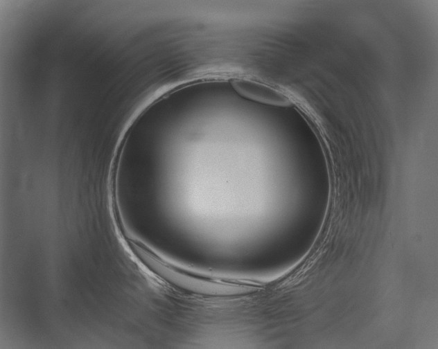 X0000075361440200609151625