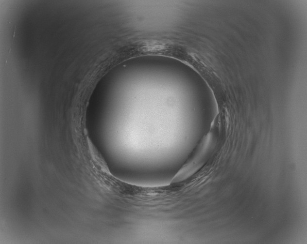 X0000075361441200609151624