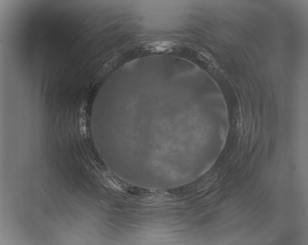 X0000075361442200609151624