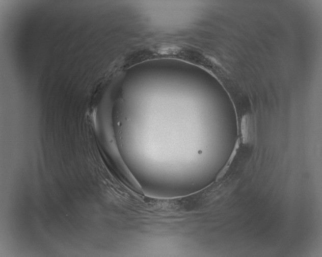 X0000075361443200609151624