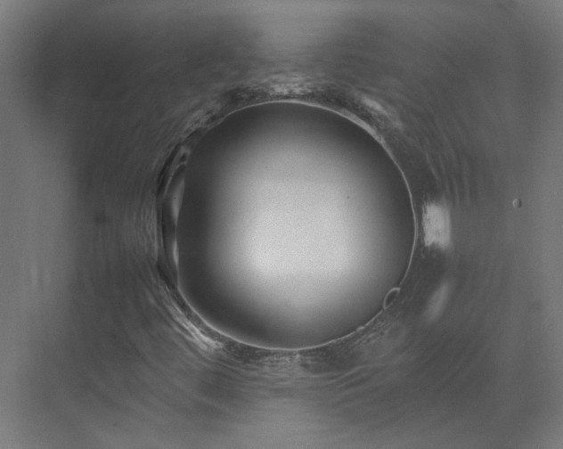 X0000075361444200609151624