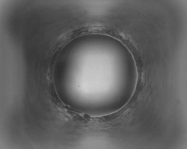 X0000075361445200609151624