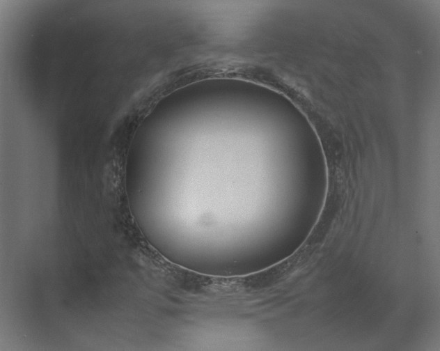 X0000075361447200609151624