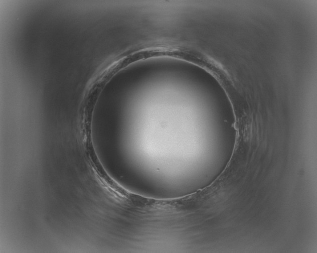 X0000075361448200609151624