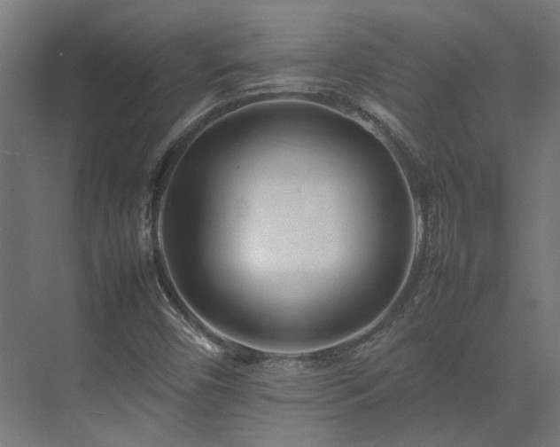 X0000075361450200609151624