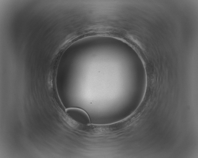 X0000075361451200609151624