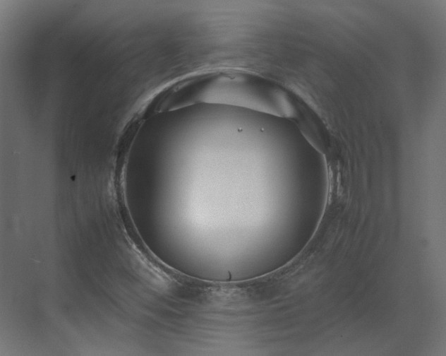 X0000075361452200609151624