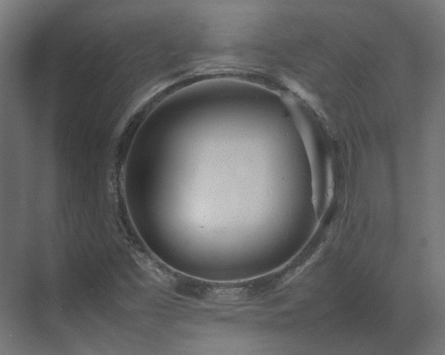 X0000075361453200609151624