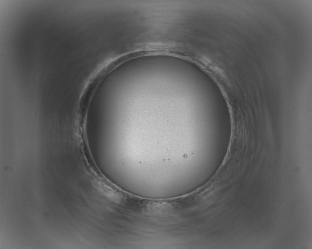 X0000075361454200609151624