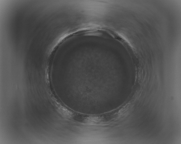 X0000075361455200609151624