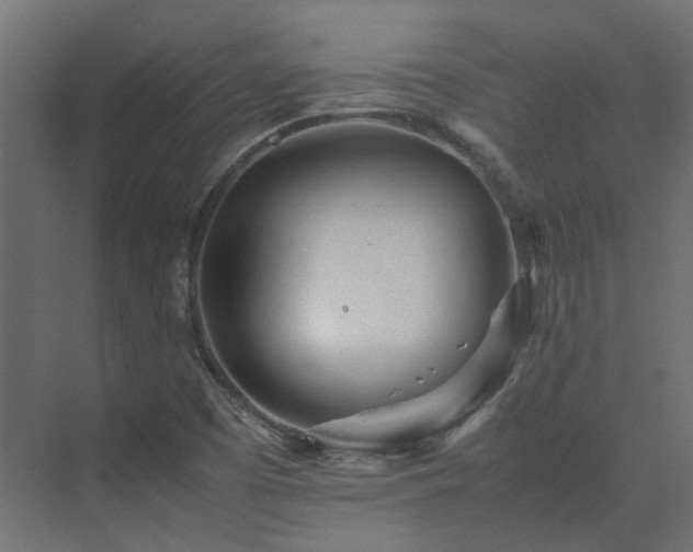 X0000075361457200609151624