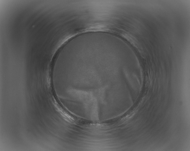 X0000075361458200609151624