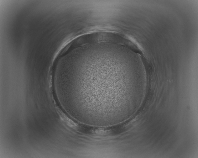 X0000075361459200609151624