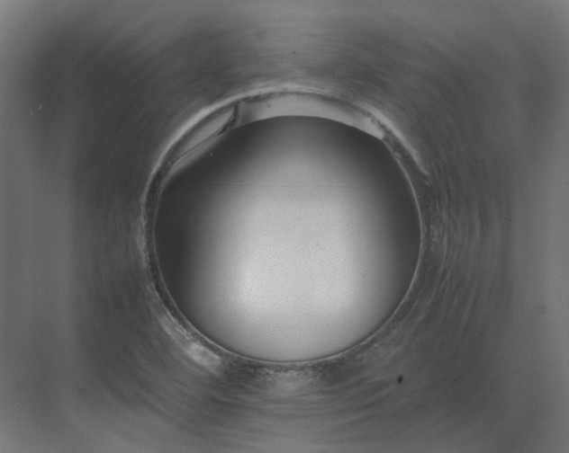 X0000075361460200609151624