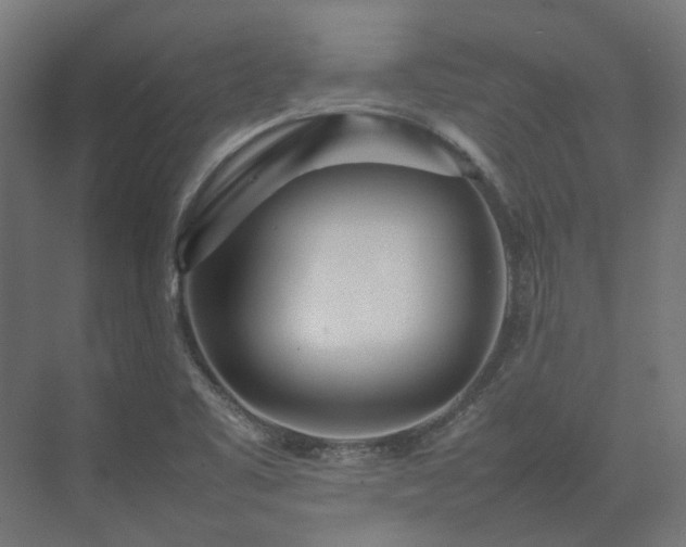 X0000075361461200609151624