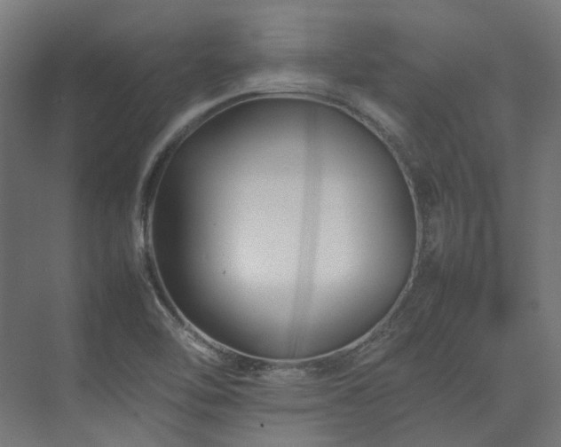 X0000075361462200609151624