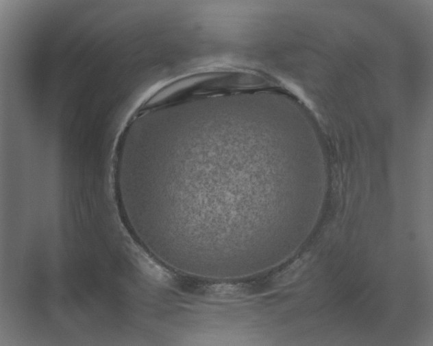 X0000075361463200609151624