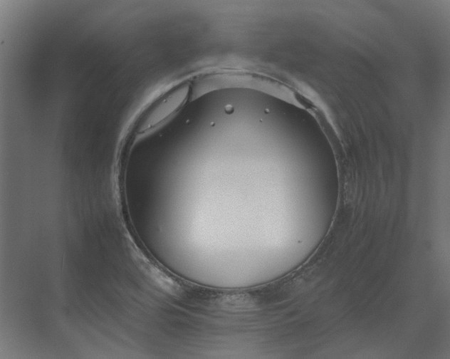 X0000075361464200609151624