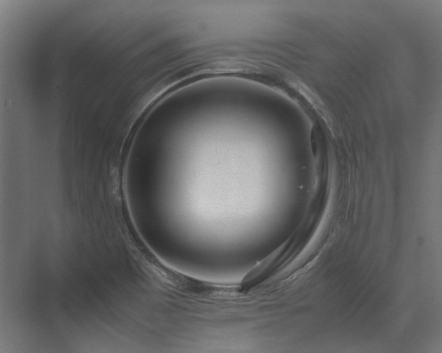 X0000075361465200609151624