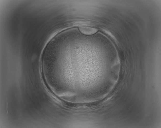 X0000075361467200609151624