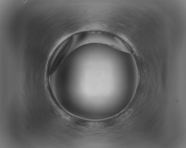 X0000075361469200609151624