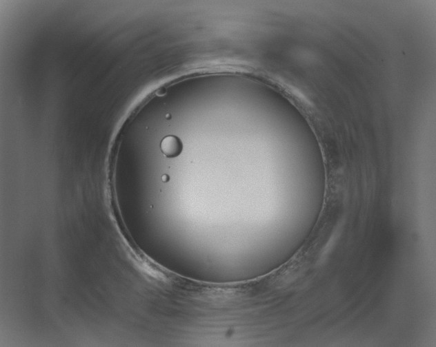 X0000075361470200609151624