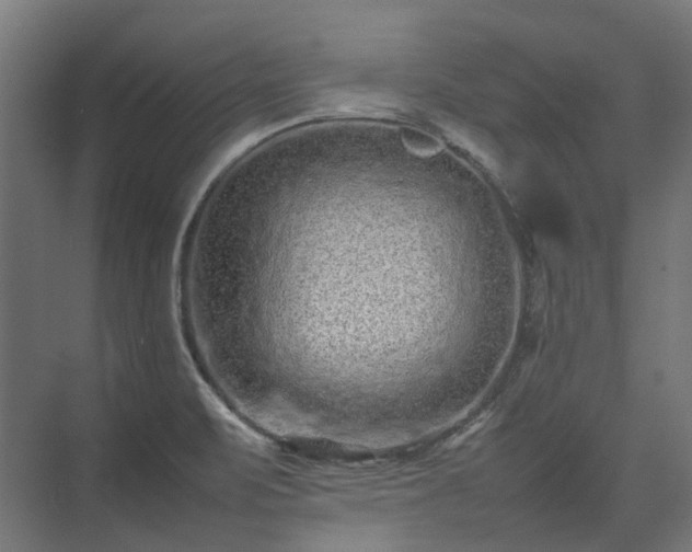 X0000075361471200609151624