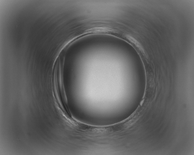 X0000075361473200609151624