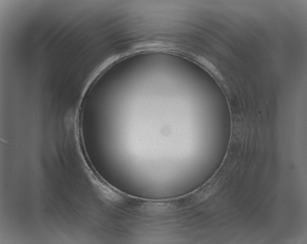 X0000075361474200609151624