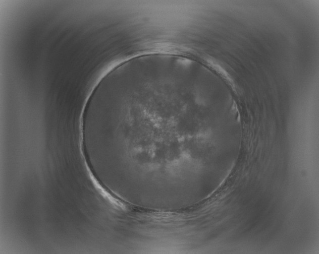 X0000075361479200609151624