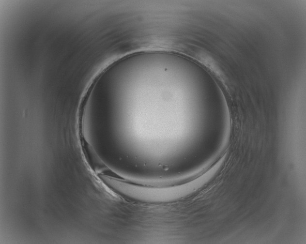 X0000075361480200609151624