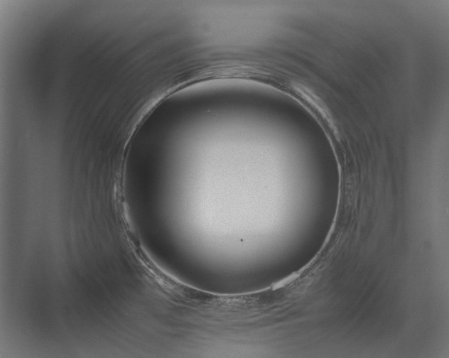 X0000075361481200609151624