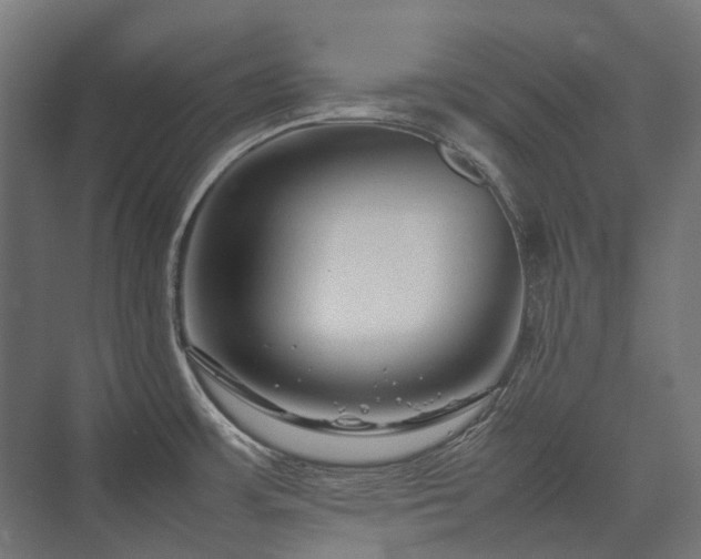 X0000075361483200609151624