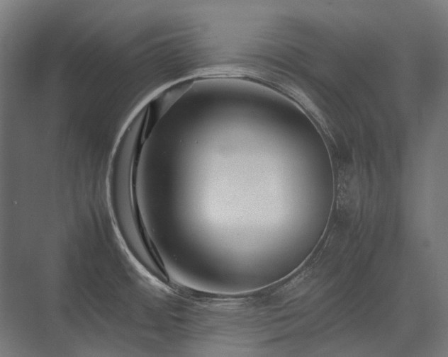 X0000075361484200609151624