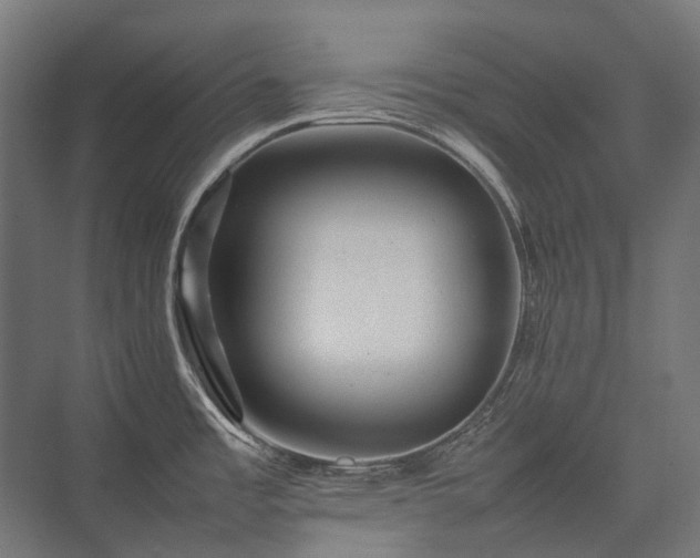 X0000075361485200609151624