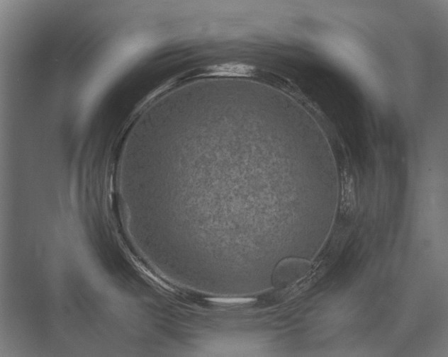 X0000075361487200609151624