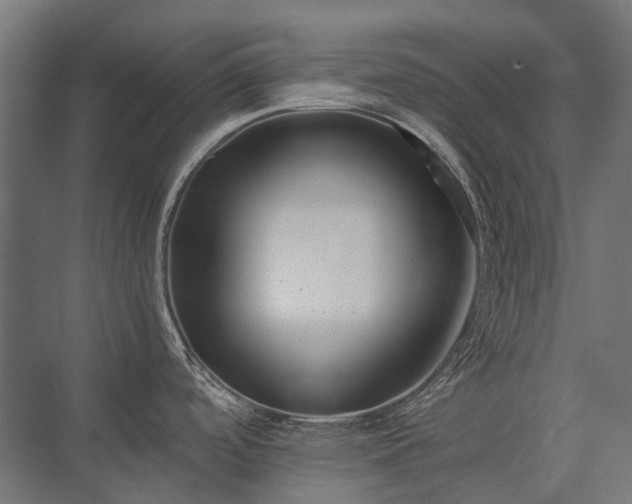 X0000075361488200609151624