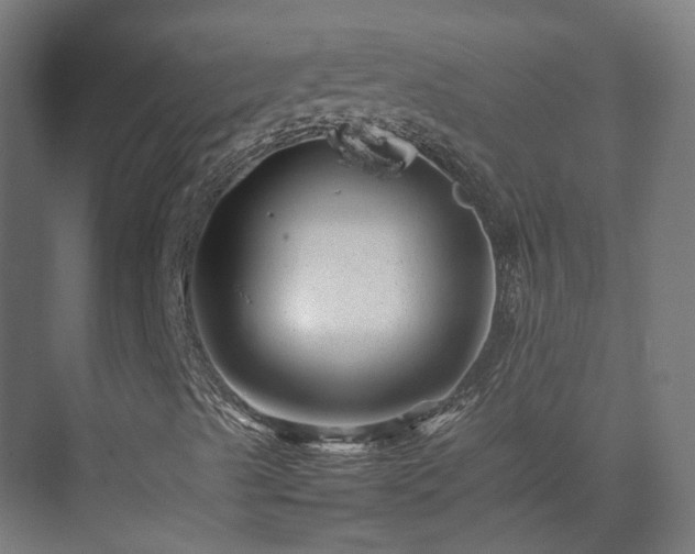 X0000075361489200609151623