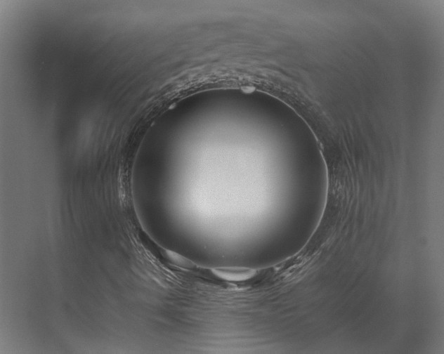 X0000075361490200609151623