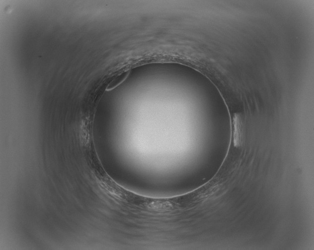 X0000075361491200609151623