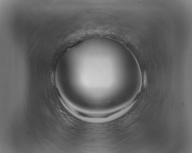 X0000075361492200609151623