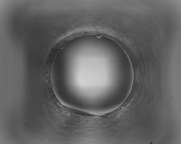 X0000075361494200609151623