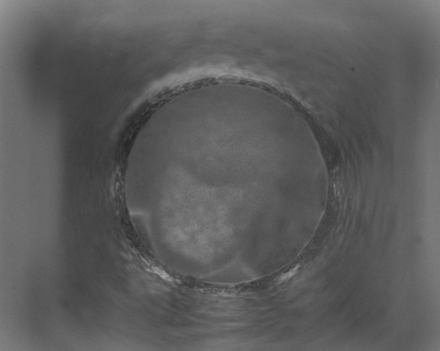 X0000075361495200609151623