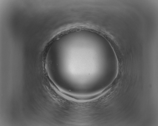 X0000075361496200609151623