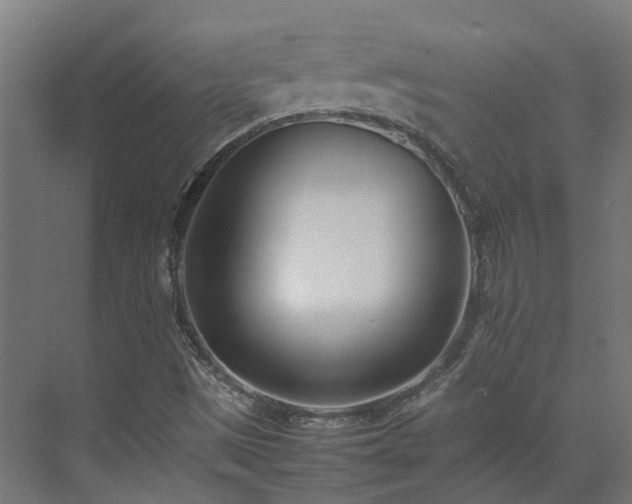 X0000075361497200609151623