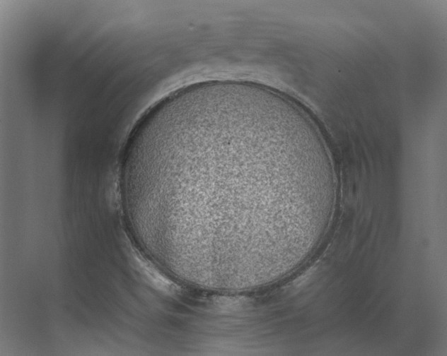 X0000075361498200609151623