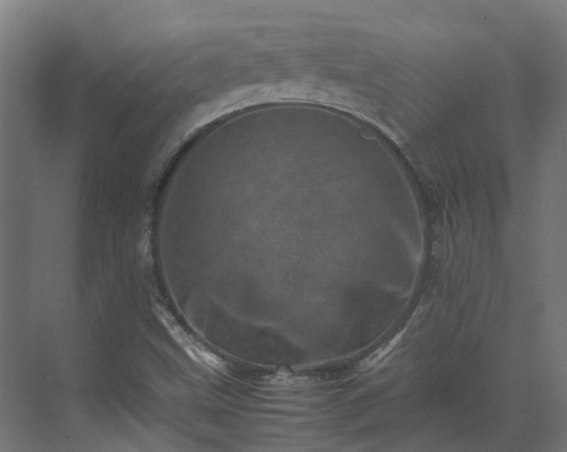 X0000075361499200609151623