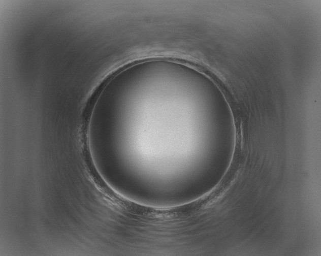 X0000075361501200609151623