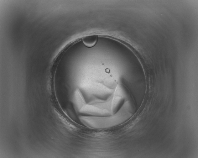 X0000075361502200609151623