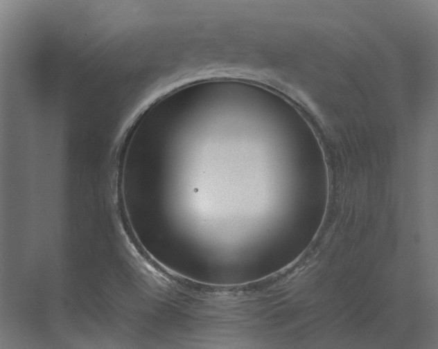 X0000075361504200609151623